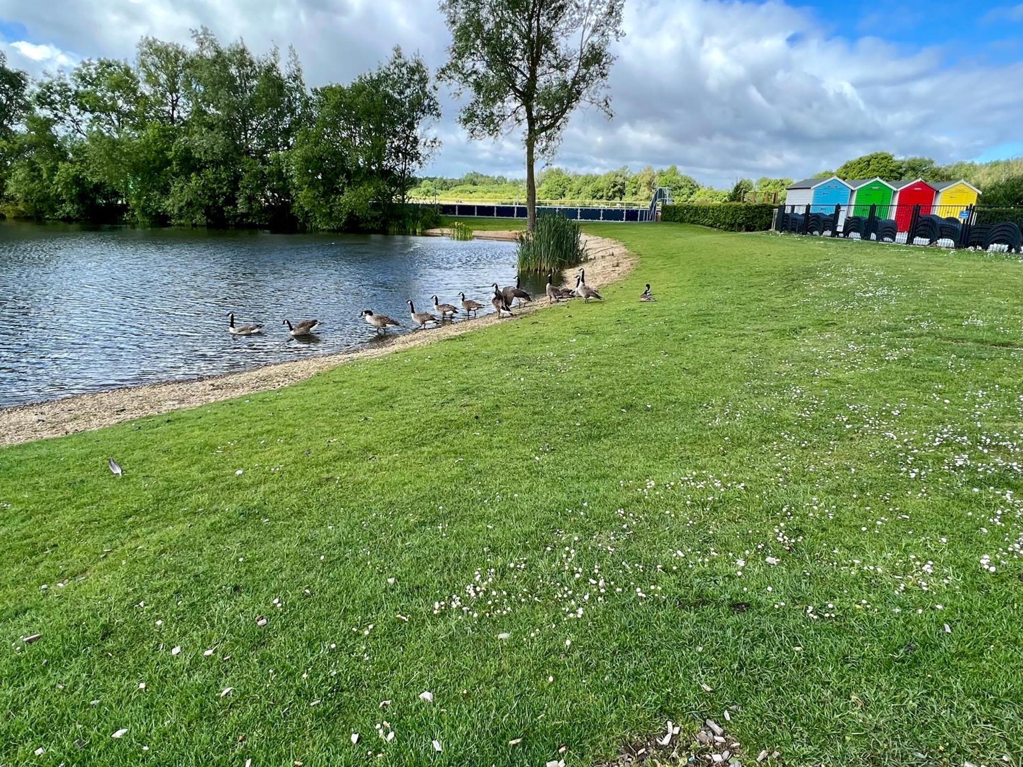 Puddleducks, Dog Friendly Hot Tub Lodge South Cerney Exterior photo